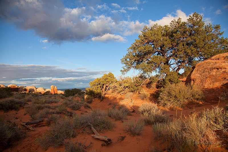 Broken Arch Trail